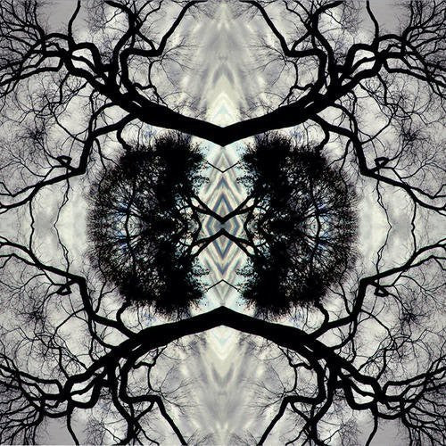Rudolph,adam - Sonic Mandala Go: Organic Orchestra - Music CD