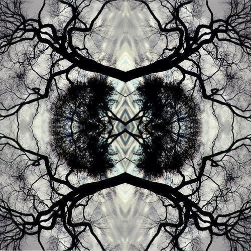 Adam Rudolph - Sonic Mandala Go: Organic Orchestra Vinyl Record