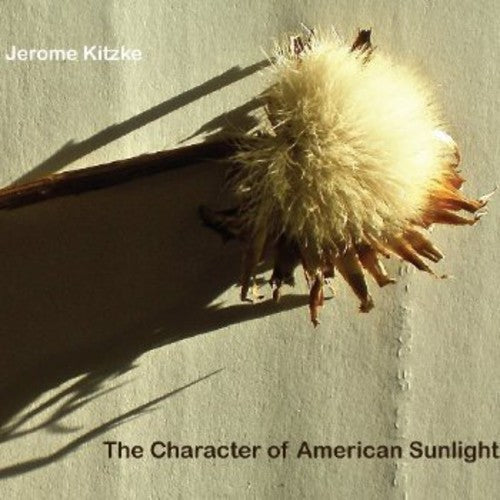 the album cover for Bradley Lubman - Character of American Sunlight