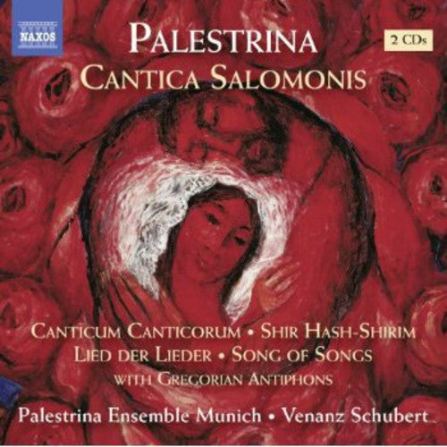 Canticum Salomonis Music CD