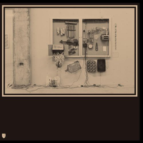 Fits & Starts [LP] Vinyl Record