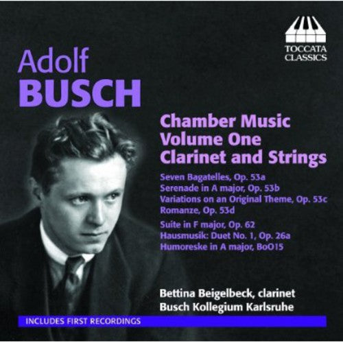 Busch / Beigelbeck / Busch Kollegium Karlsruhe - Chamber Music 1: Clarinet & Strings - Music CD