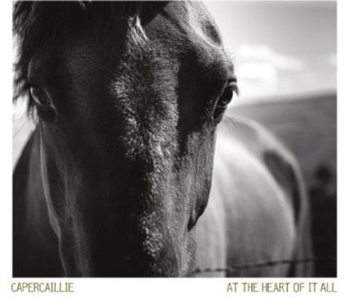 Capercaillie - At The Heart Of It All - Music CD