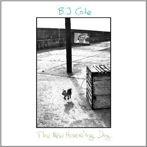 Bj Cole - New Hovering Dog - Vinyl Record