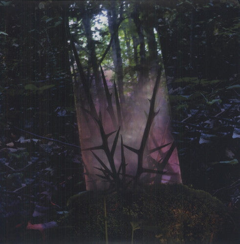 Jensen Sportag - Stealth of Days [LP] Vinyl Record