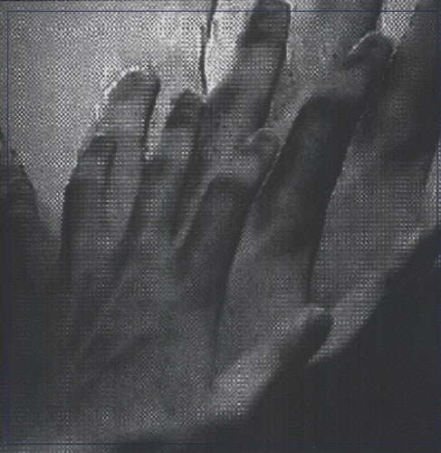 Painted Caves - Surveillance - Vinyl Record