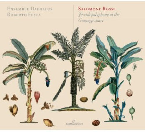 Rossi / Festa / Ensemble Deadalus - Jewish Polyphony At The Gonzaga Court - Music CD