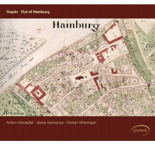 the album cover for Florian Wieninger - Out of Hainburg