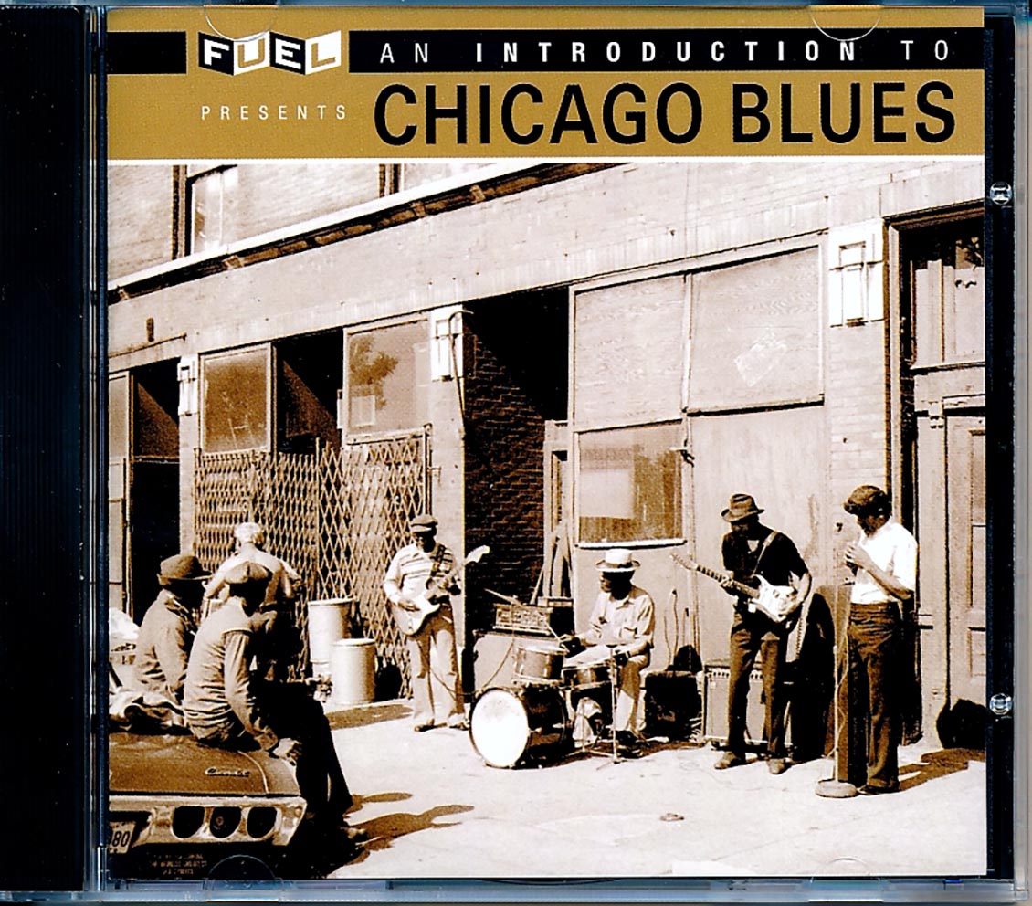 JB Lenoir, Elmore James, Muddy Waters, Big Joe Williams, Etc. - An Introduction To Chicago Blues (remastered) (24-bit mastering) Music CD