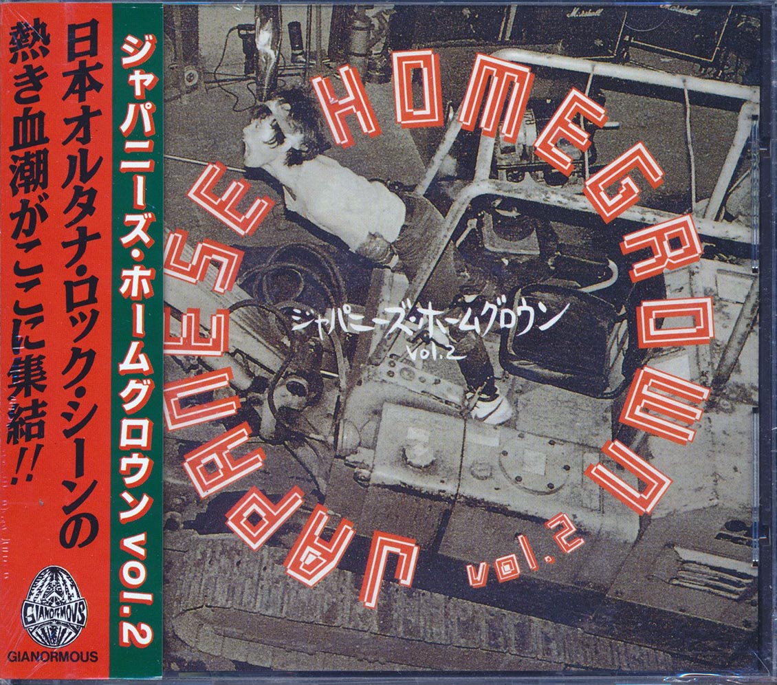 Nunchaku, Noiseramones, Pugs, Jasons, Super Junky Monkey, Etc. - Japanese Homegrown Volume 2 (incl. large booklet) Music CD