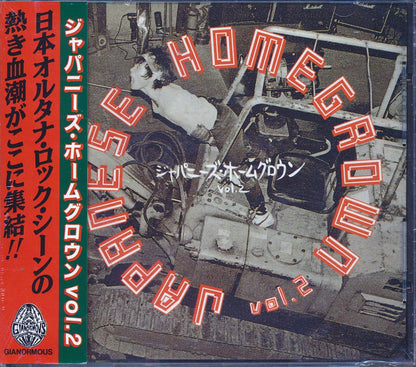 Nunchaku, Noiseramones, Pugs, Jasons, Super Junky Monkey, Etc. - Japanese Homegrown Volume 2 (incl. large booklet) Music CD