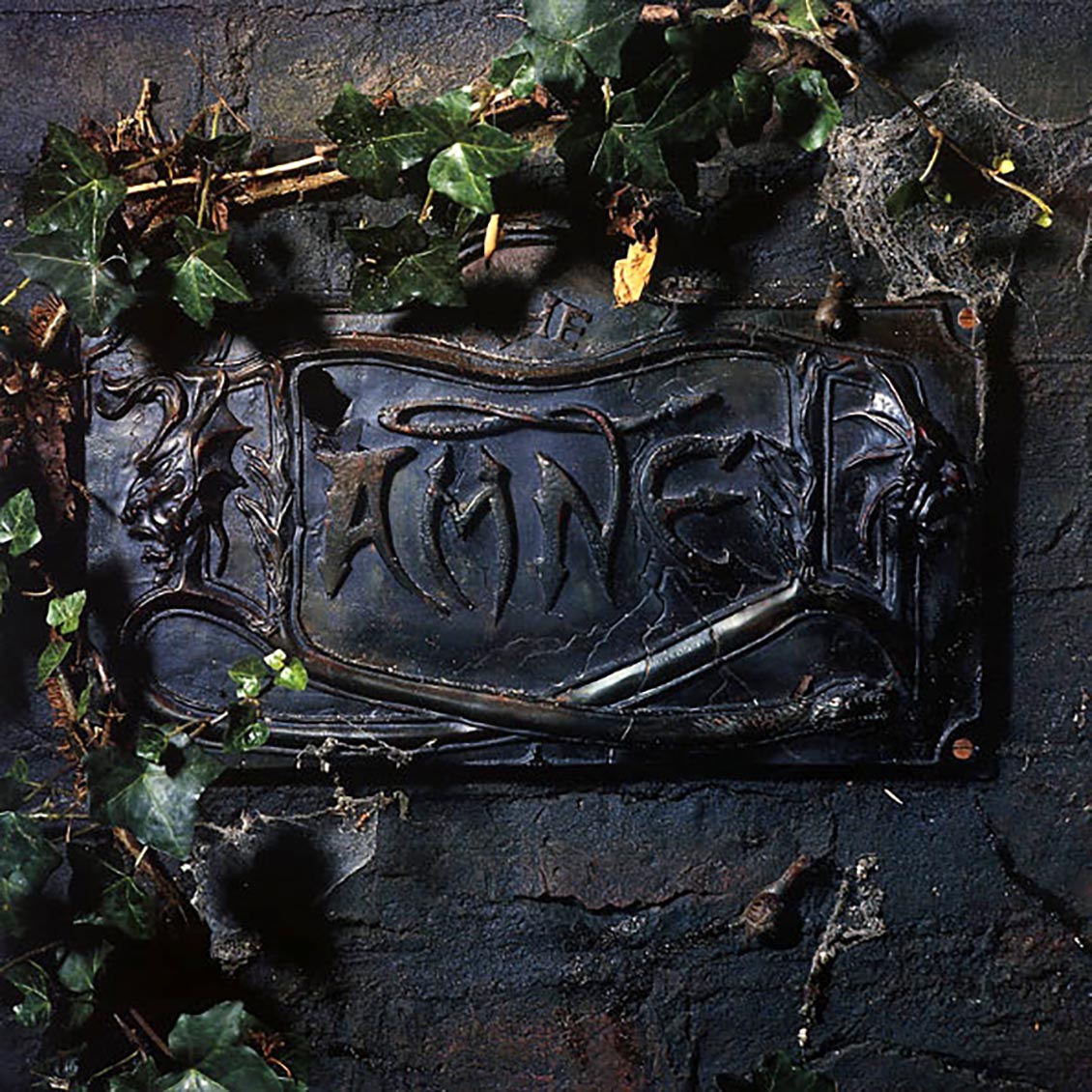 The Damned - The Black Album (2xLP) (180g) Vinyl Record