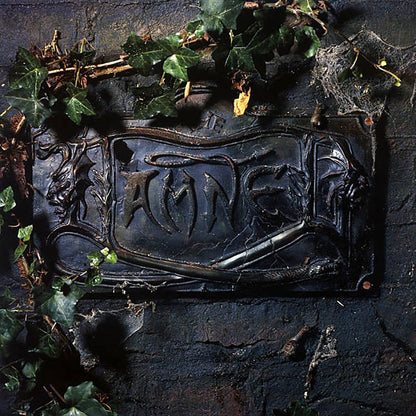 The Damned - The Black Album (2xLP) (180g) Vinyl Record