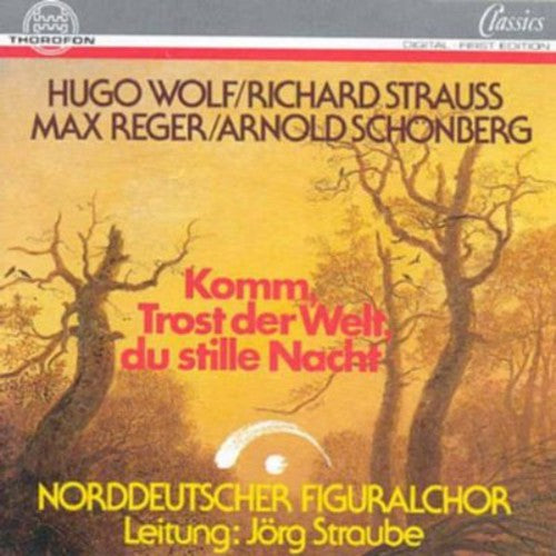 Wolf / Straube,jorg - Come Consolation Of The World - Music CD