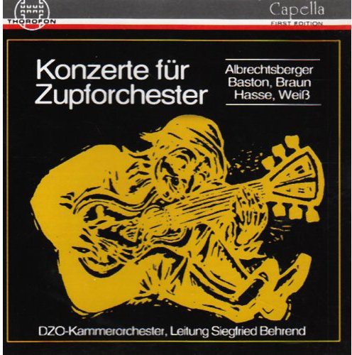 the album cover for DZO-Kammerorchester - Concerts for Zupforchester