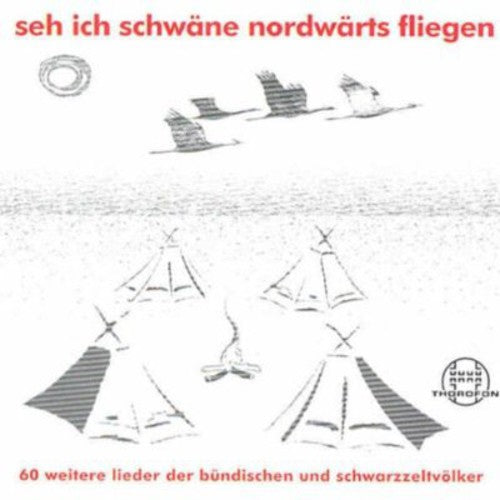 the album cover for Ill See Swans Northward Flying / Var - I'll See Swans Northward Flying / Various