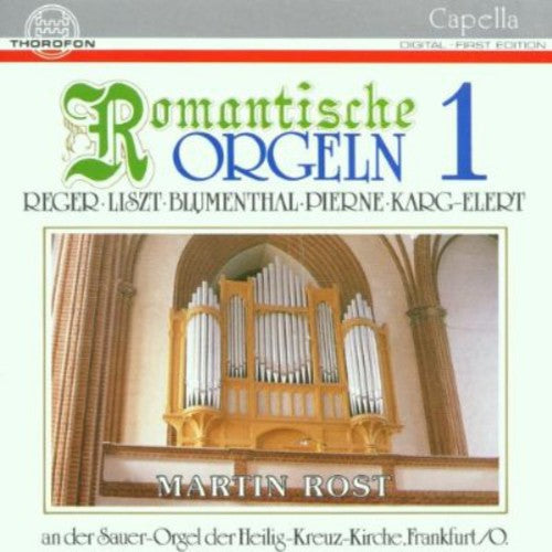 Reger / Rost,martin - Romantic Organ Works 1 - Music CD