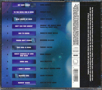 Corey Stevens, Tinsley Ellis, Chris Duarte, Etc. - Blues Next: The New Generation Music CD
