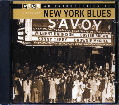 Buster Brown, Billy Lewis, Titus Tee Turner, Etc. - An Introduction To New York Blues Music CD