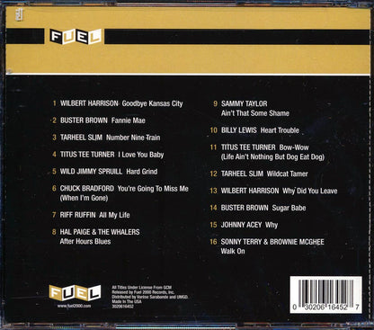 Buster Brown, Billy Lewis, Titus Tee Turner, Etc. - An Introduction To New York Blues Music CD