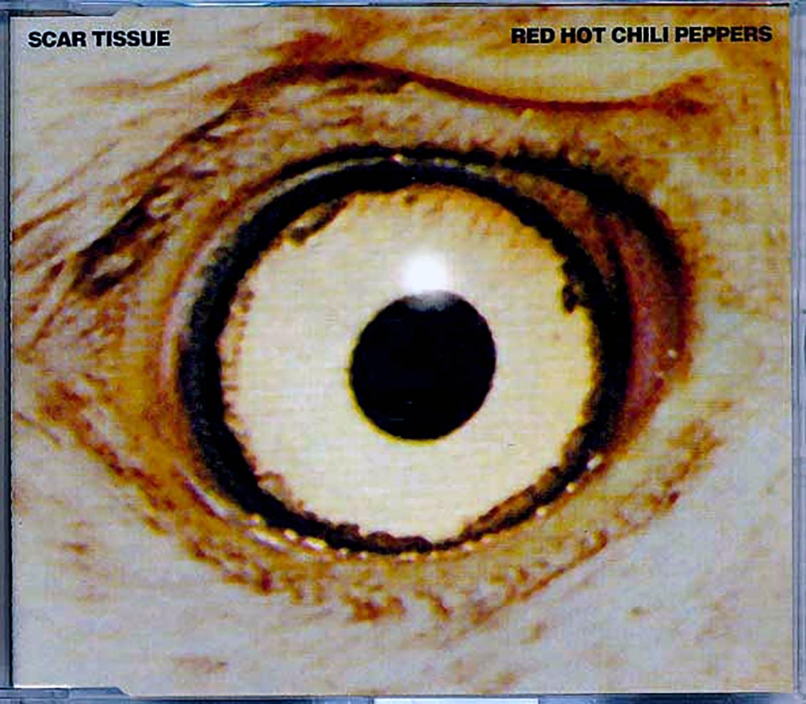 Red Hot Chili Peppers - Scar Tissue Music CD