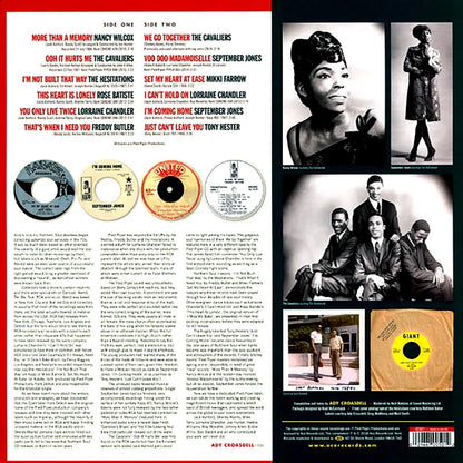Nancy Wilcox, September Jones, The Cavaliers, Freddy Butler, Etc. - Pied Piper: The Pinnacle Of Detroit Northern Soul Vinyl Record