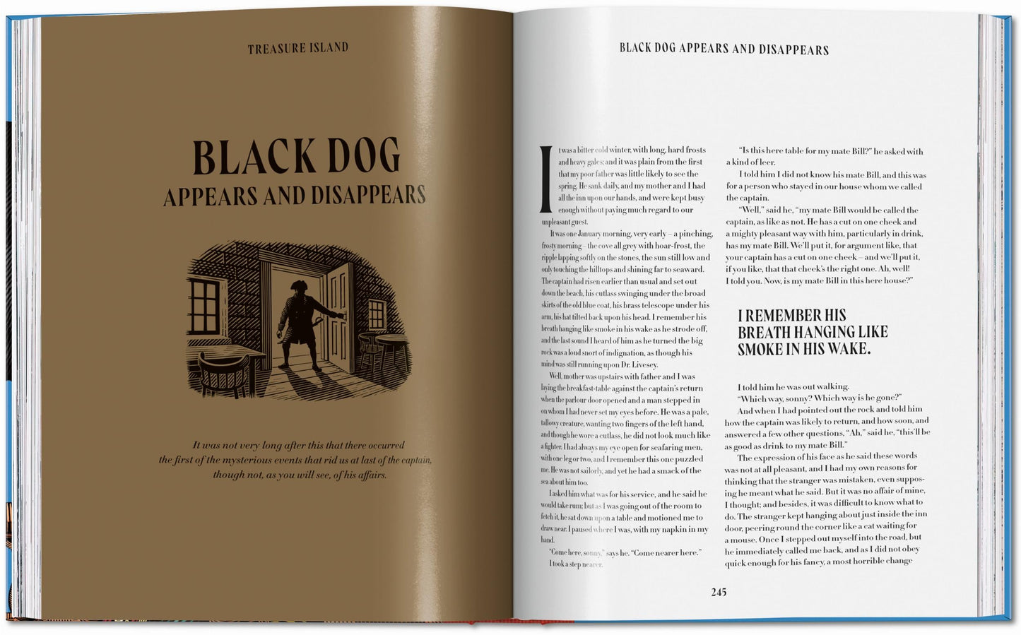 Pirate Tales (English) Book