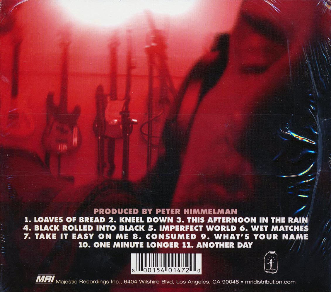 Peter Himmelman - Imperfect World Music CD