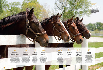 Why We Love Horses -  Equine Beauty, Horse Racing, Therapeutic Benefits, Equestrian Lifestyle, Horse Care Tips, Family Bonds, Sporting Culture, Healing & Wellness, Inspiring Stories & Cultural Impact!