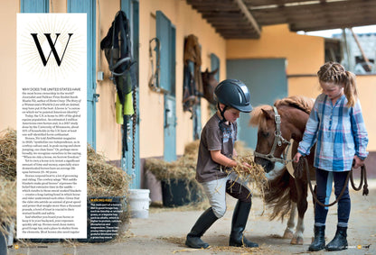 Why We Love Horses -  Equine Beauty, Horse Racing, Therapeutic Benefits, Equestrian Lifestyle, Horse Care Tips, Family Bonds, Sporting Culture, Healing & Wellness, Inspiring Stories & Cultural Impact!