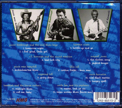 Raymond Hill, Lillie Hill, Uncle Ben & His Nephews, Junior Kimbrough & The Soul Blues Boys, Etc. - Deep South Blues (marked/ltd stock) Music CD