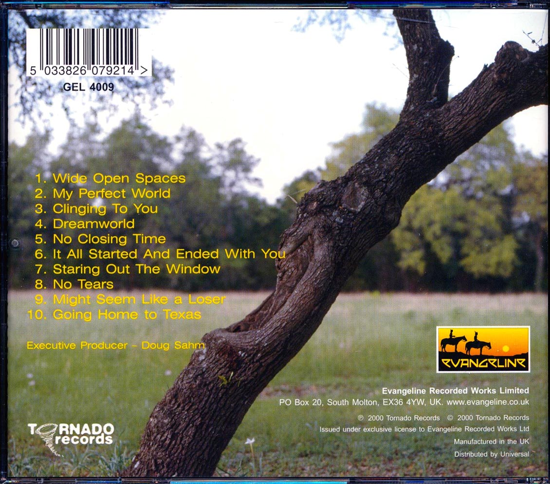 Ed Burleson - My Perfect World Music CD