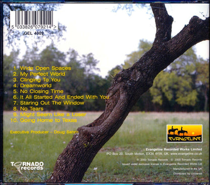 Ed Burleson - My Perfect World Music CD