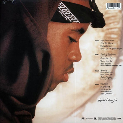 Nas Nastradamus Vinyl Record