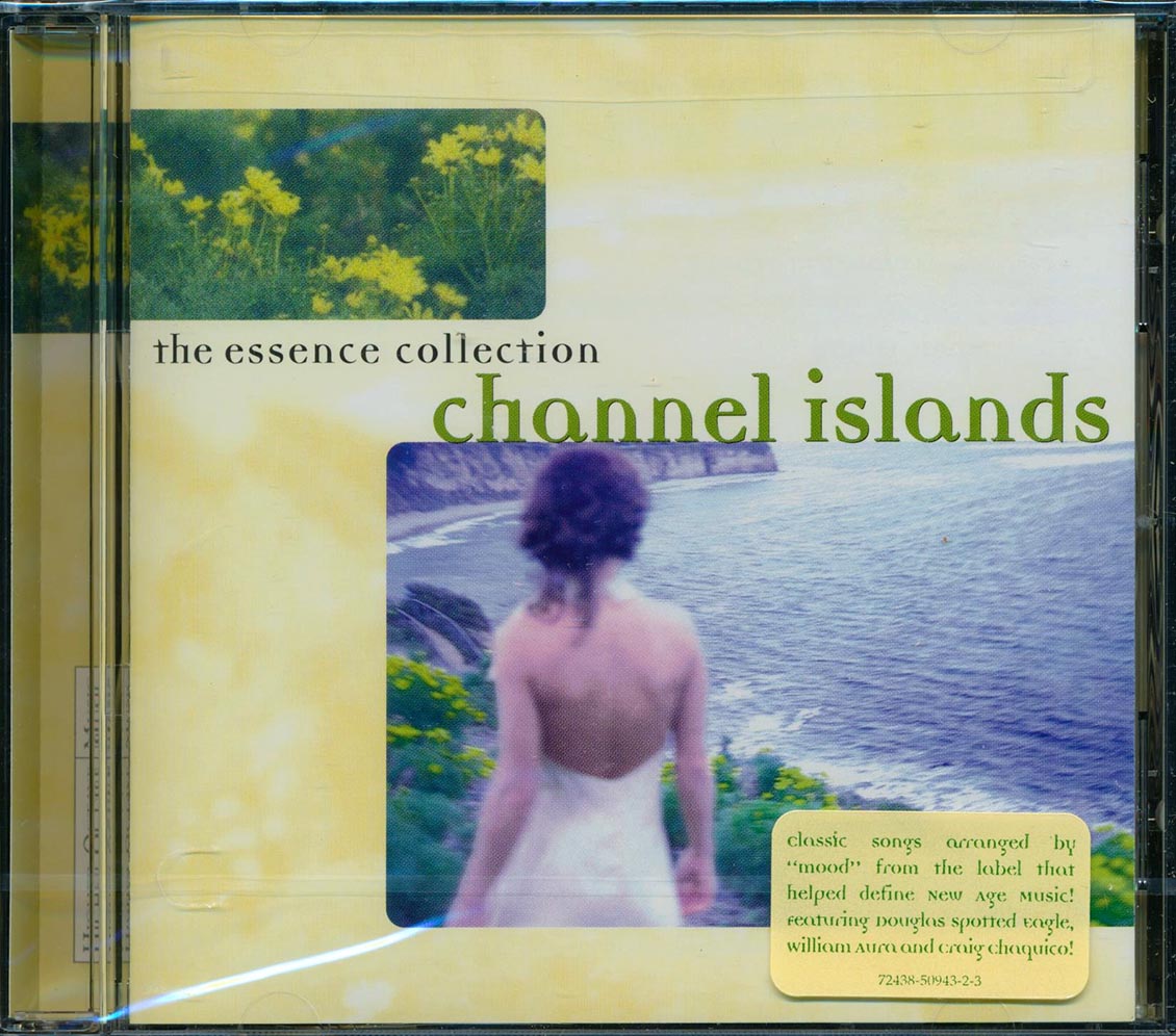 Craig Chaquico, Brainscapes, William Aura, Brian Becvar, Etc. - Channel Islands Music CD