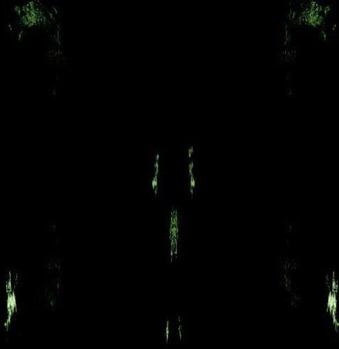 Impetuous Ritual - Unholy Congregation Of Hypocritical Ambivalence - Music CD