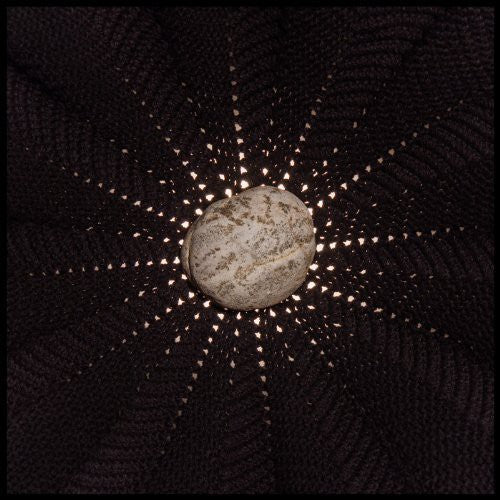 In the Hollows [LP] Vinyl Record
