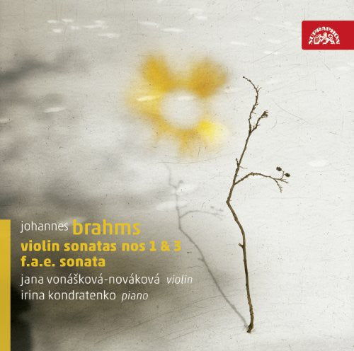 Brahms / Dietrich / Schumann / Vonaskova - Violin Sonatas - Music CD