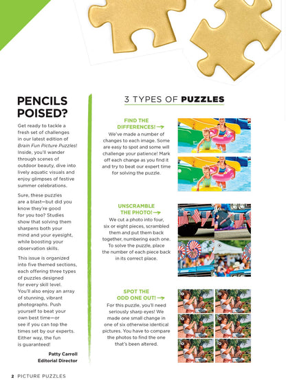 Brain Fun - Picture Puzzles: Spot 300 Differences, Ultimate Brain Challenge, Summer Edition, Sunny Day Fun, Vacation Views, Summer Treats, Outdoor Party Scenes, Unwind, Unplug, Relax, Solve & More!
