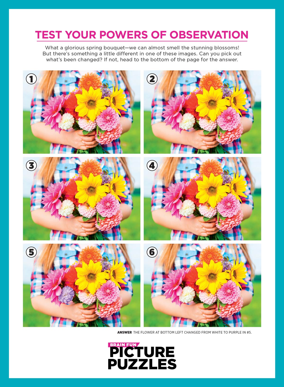 Brain Fun - Picture Puzzles: Spot 300 Differences, Ultimate Brain Challenge, Summer Edition, Sunny Day Fun, Vacation Views, Summer Treats, Outdoor Party Scenes, Unwind, Unplug, Relax, Solve & More!