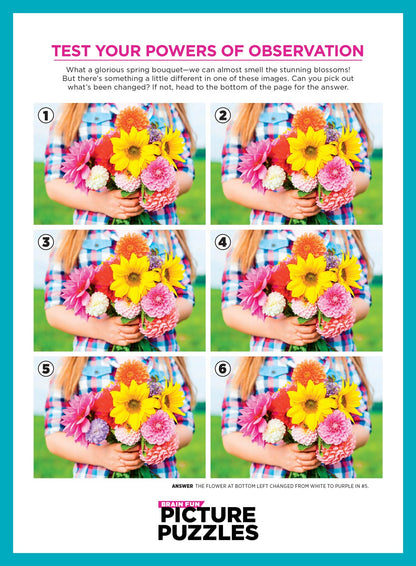Brain Fun - Picture Puzzles: Spot 300 Differences, Ultimate Brain Challenge, Summer Edition, Sunny Day Fun, Vacation Views, Summer Treats, Outdoor Party Scenes, Unwind, Unplug, Relax, Solve & More!