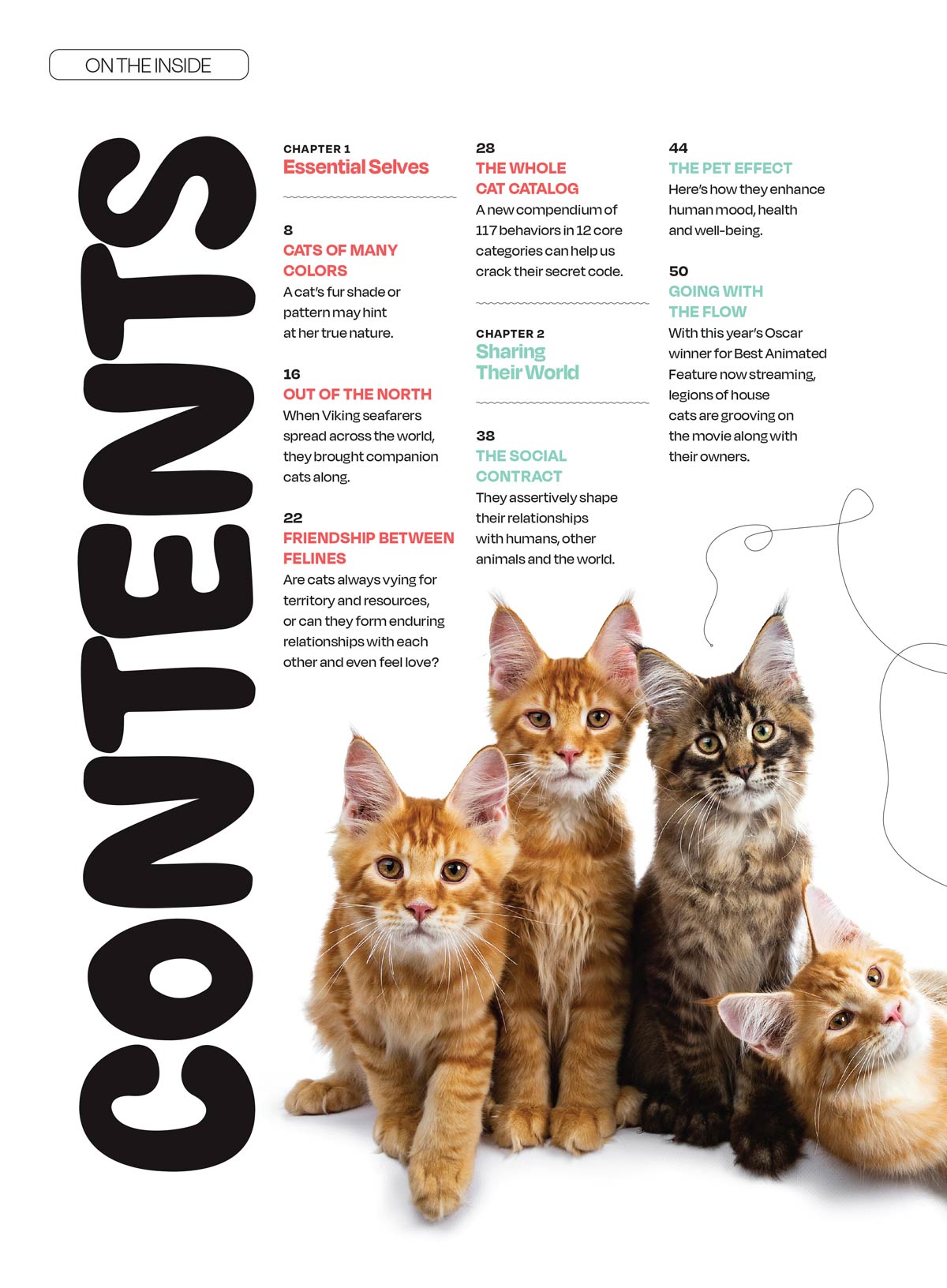 Inside Your Cat's Mind - Blinks, Whiskers & Tails: Learn Your Cat’s Body Language, A Deep Dive Into Cat Behavior, Tips For Training, Bonding, Understanding Your Feline & More!