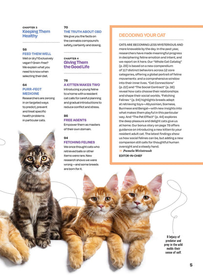 Inside Your Cat's Mind - Blinks, Whiskers & Tails: Learn Your Cat’s Body Language, A Deep Dive Into Cat Behavior, Tips For Training, Bonding, Understanding Your Feline & More!