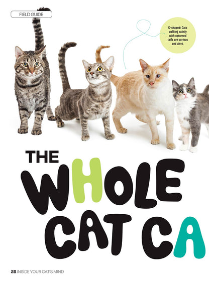 Inside Your Cat's Mind - Blinks, Whiskers & Tails: Learn Your Cat’s Body Language, A Deep Dive Into Cat Behavior, Tips For Training, Bonding, Understanding Your Feline & More!