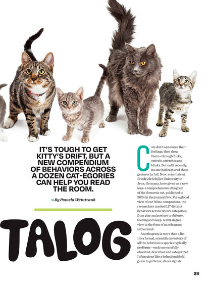 Inside Your Cat's Mind - Blinks, Whiskers & Tails: Learn Your Cat’s Body Language, A Deep Dive Into Cat Behavior, Tips For Training, Bonding, Understanding Your Feline & More!