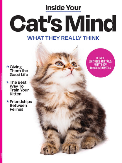 Inside Your Cat's Mind - Blinks, Whiskers & Tails: Learn Your Cat’s Body Language, A Deep Dive Into Cat Behavior, Tips For Training, Bonding, Understanding Your Feline & More!