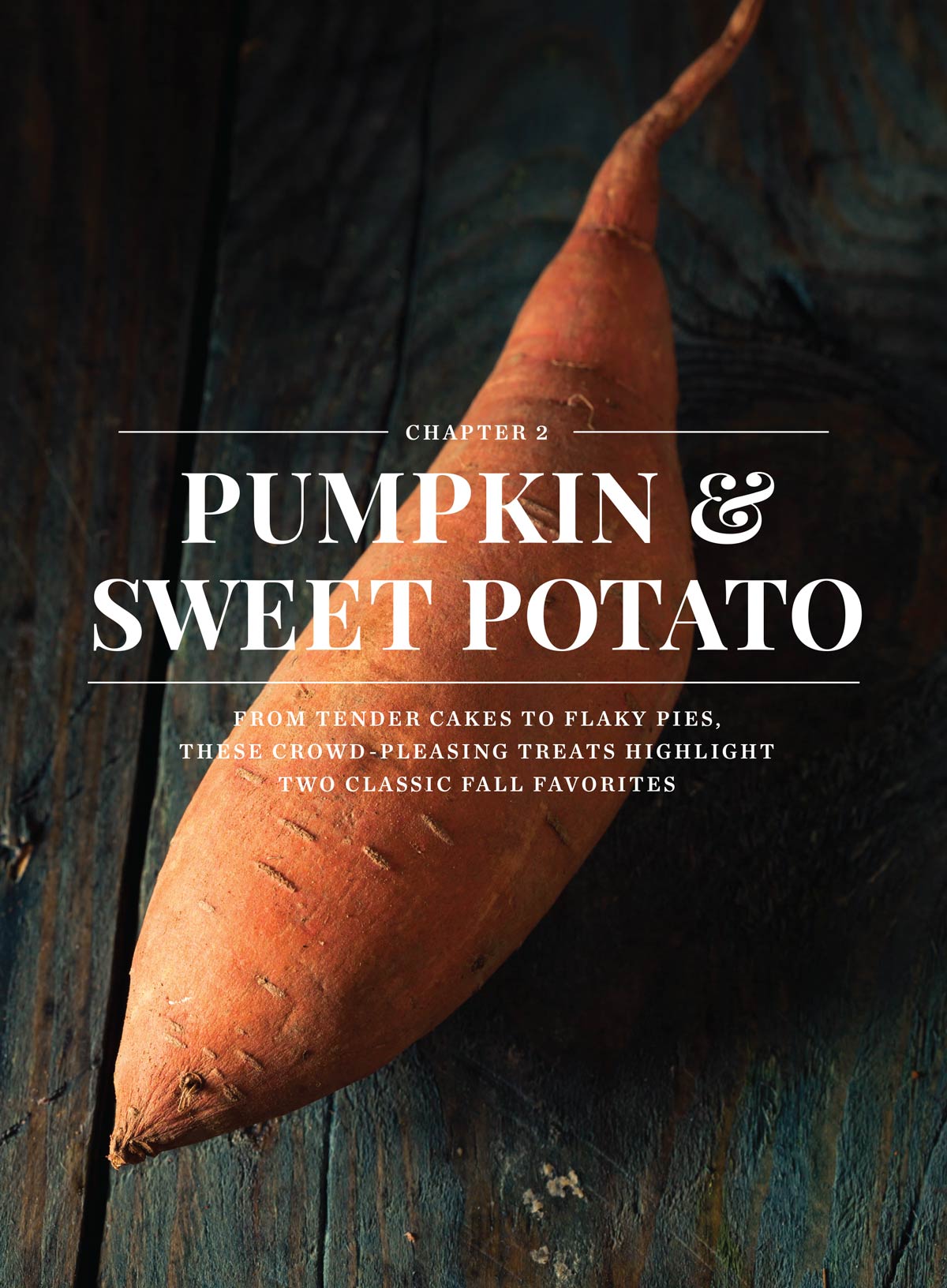 Fall Baking - Top Rated Desserts: 55+ Favorite Recipes, Must-Try Cakes, Cookies & Bars, Autumn Baking Guide, Caramel-Drizzled Vanilla Bundt Cake, Perfect For Gatherings & More!