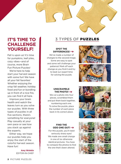 Brain Fun - Picture Puzzles: Spot 266 Differences, 5 Themed Sections, Home & Garden, Fall Fun, Harvest Holidays, Autumn Animals, Sweater Weather, Strengthen Memory, Improve Focus, Relax & More!