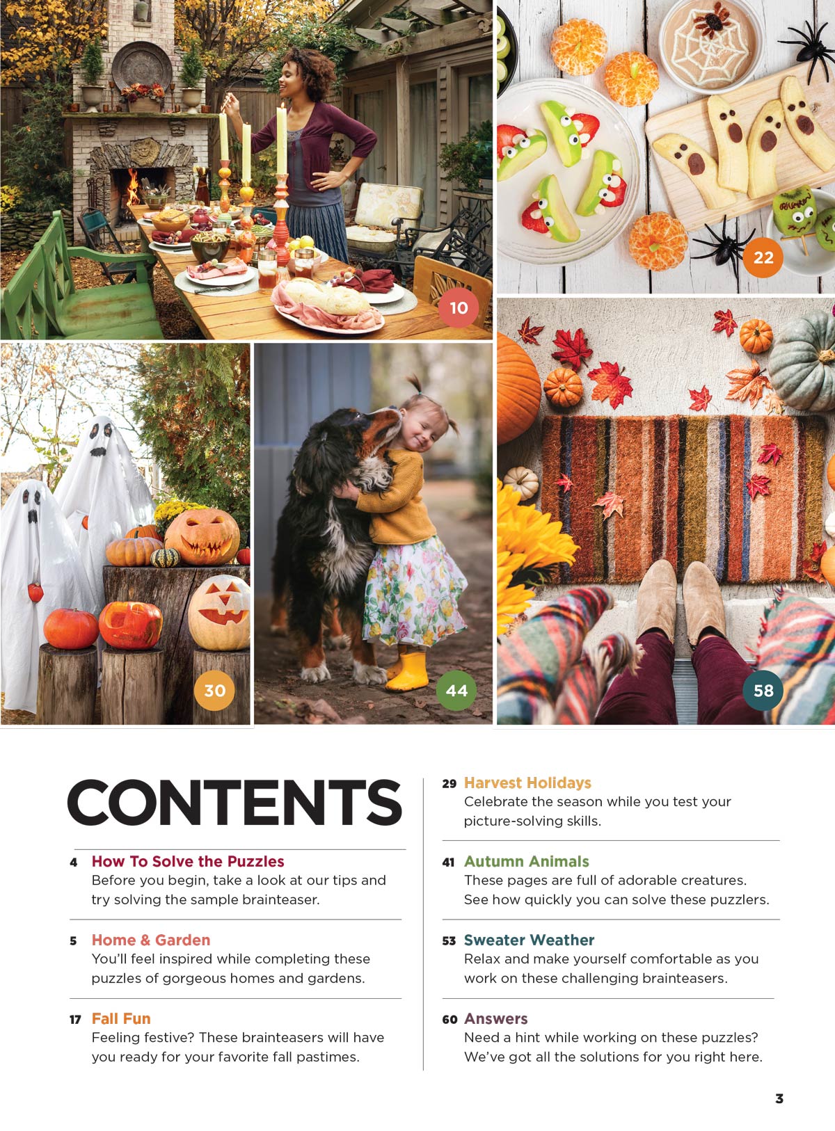 Brain Fun - Picture Puzzles: Spot 266 Differences, 5 Themed Sections, Home & Garden, Fall Fun, Harvest Holidays, Autumn Animals, Sweater Weather, Strengthen Memory, Improve Focus, Relax & More!