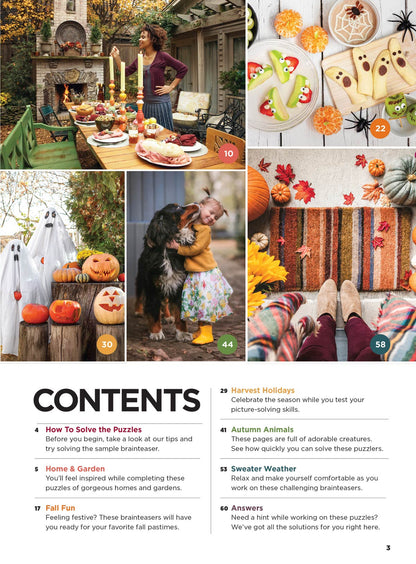 Brain Fun - Picture Puzzles: Spot 266 Differences, 5 Themed Sections, Home & Garden, Fall Fun, Harvest Holidays, Autumn Animals, Sweater Weather, Strengthen Memory, Improve Focus, Relax & More!